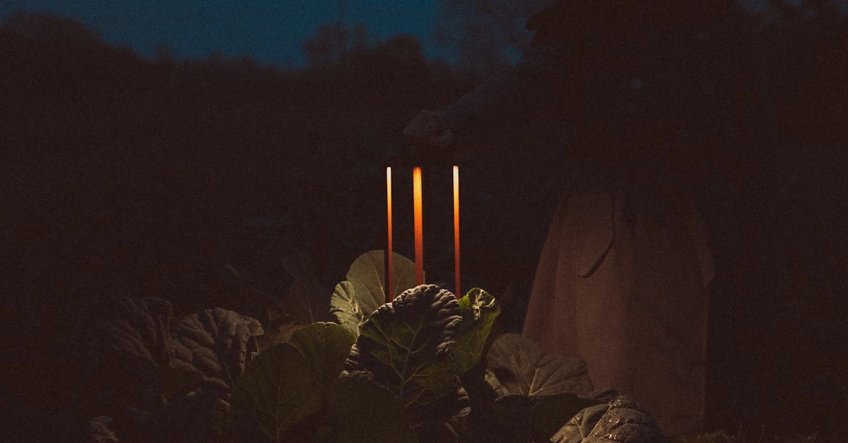 Секретные истории заповедников: что от нас скрывают