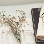 Правда о языковых курсах и методах изучения