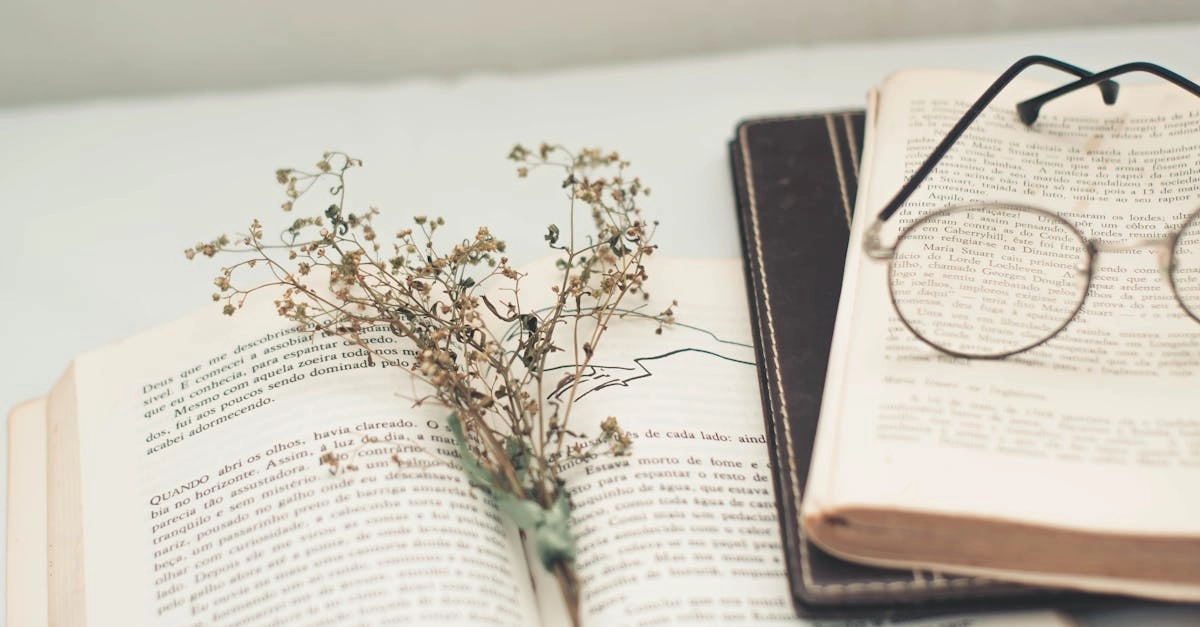 Правда о языковых курсах и методах изучения