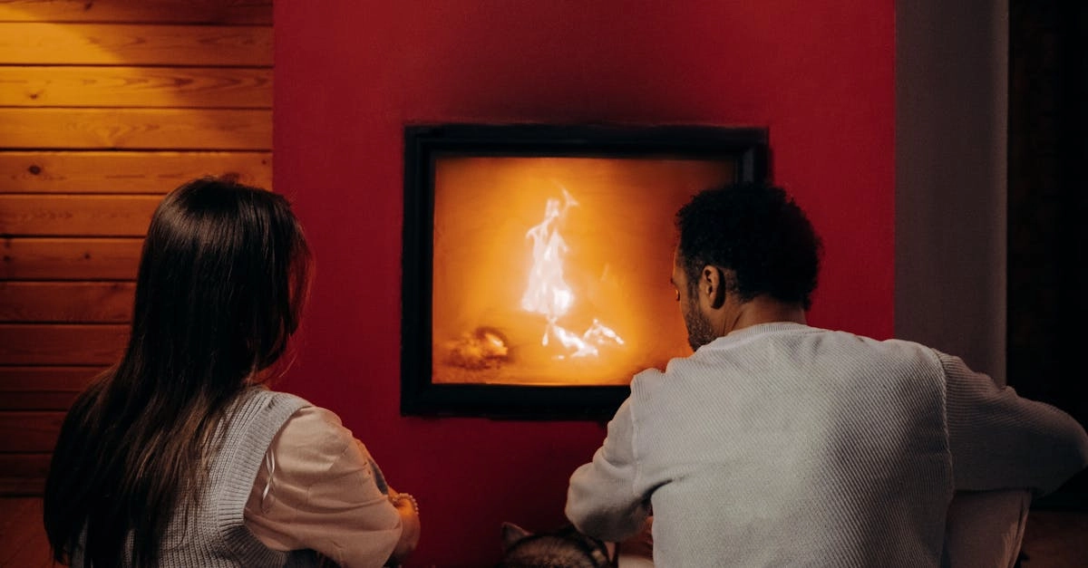 Слот Dog House Megaways с собачьими персонажами и игровыми барабанами