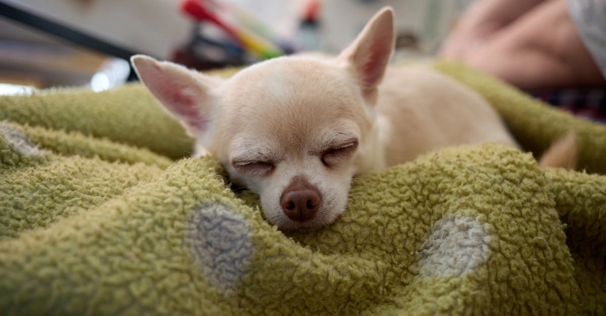 Секретные программы лояльности казино без депозита